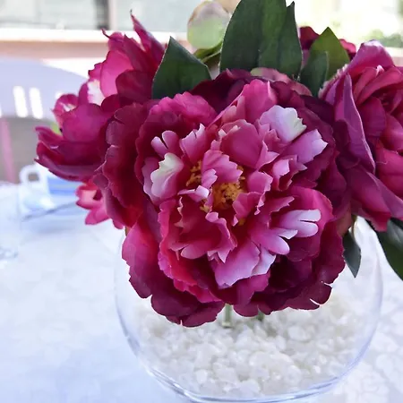 Uzelac Apartamento Umag