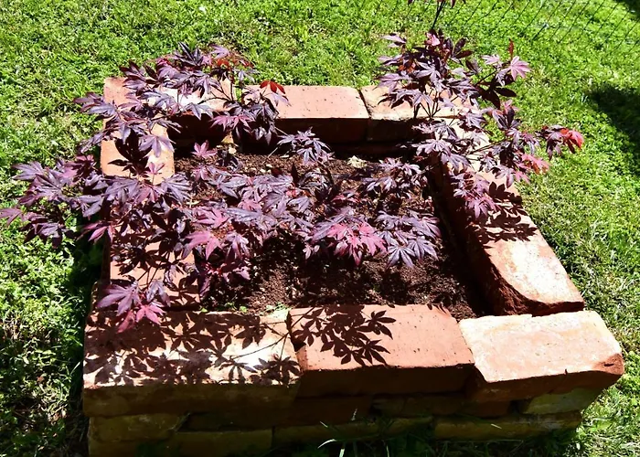 Apartamento Uzelac *